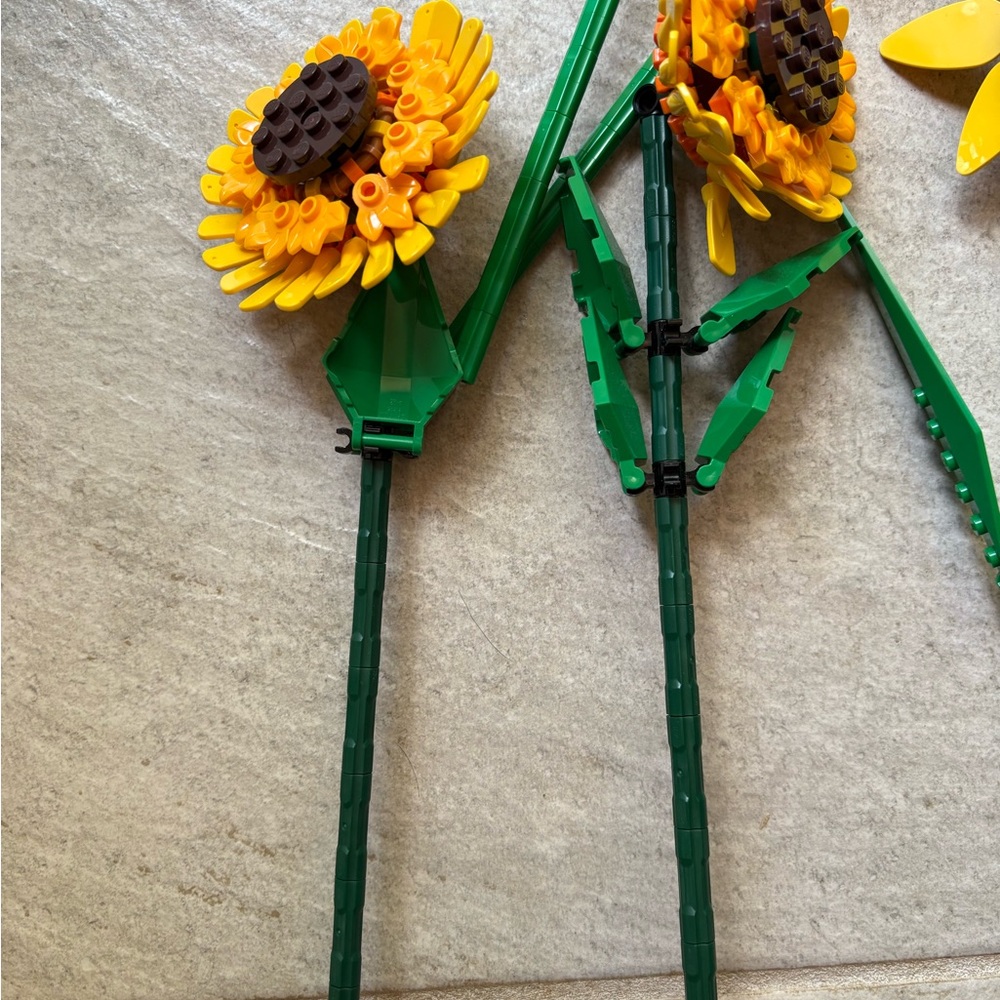 LEGO Botanical Collection Yellow and White Flowers - Picture 2 of 11